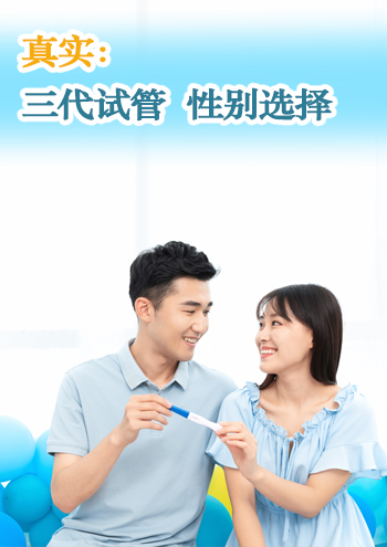 上海代孕合同