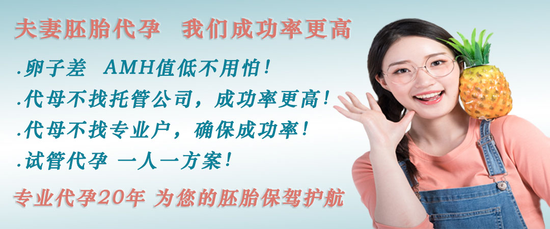上海借卵费用.jpg