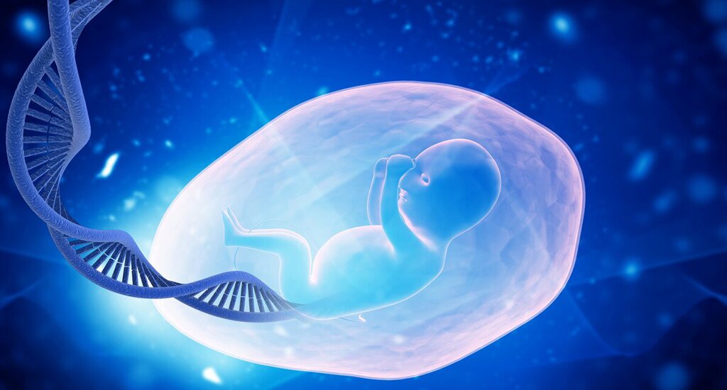 上海代孕机构：当科技接管子宫 女性的生育困境能解开吗？