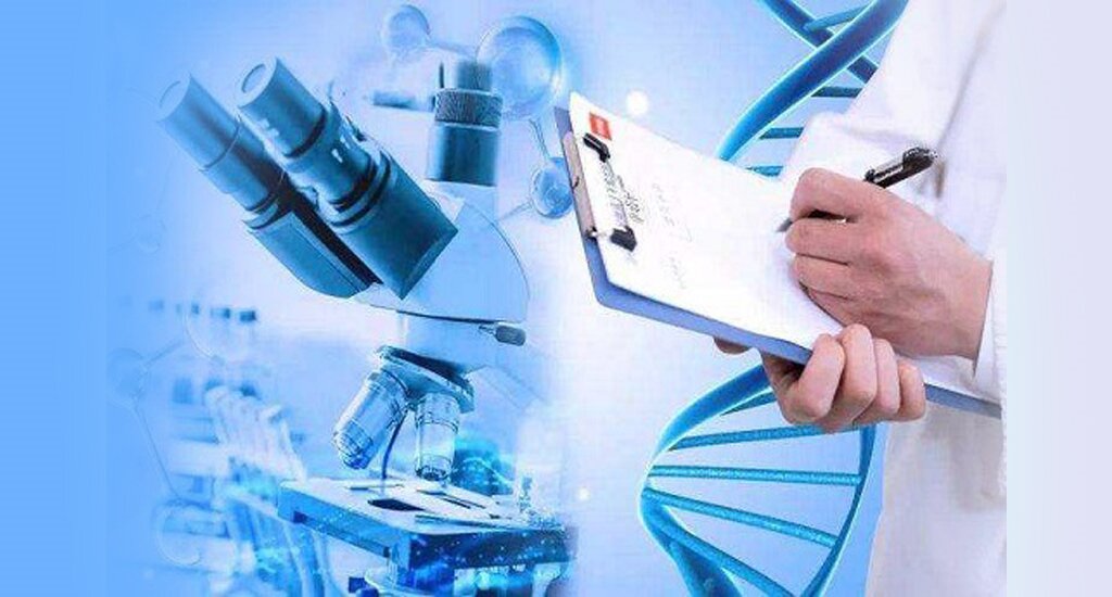上海代孕：用科学与爱心托起家庭的希望